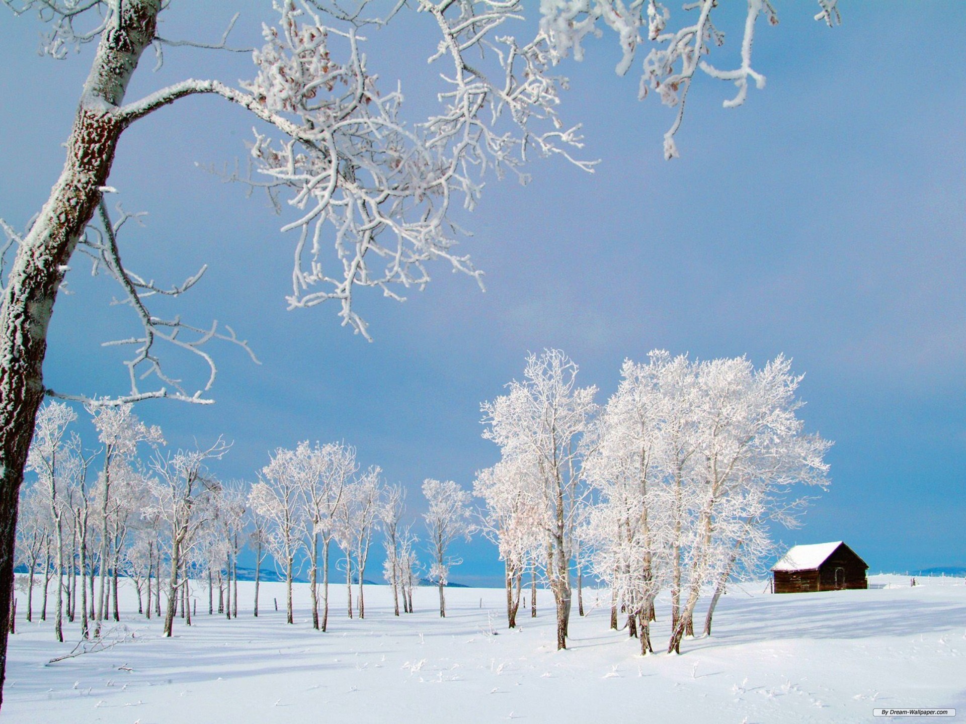 Get Glowing Skin For Your Winter Wedding. Desktop Image