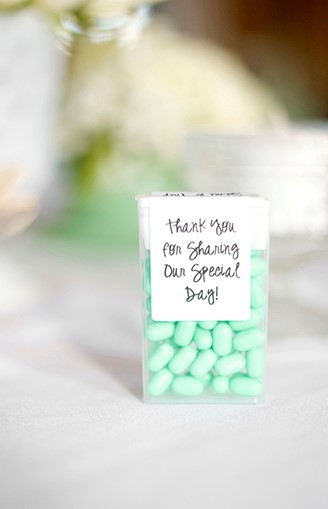 Southern-Mint-Wedding-Ashley-Upchurch-Photography-21