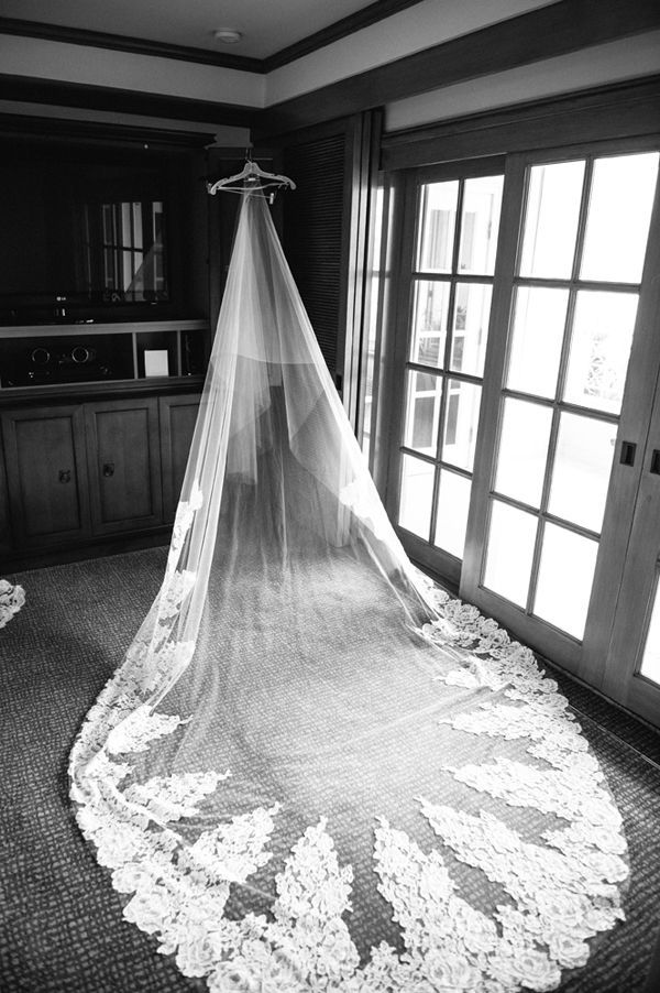 The Veil Guide. Desktop Image
