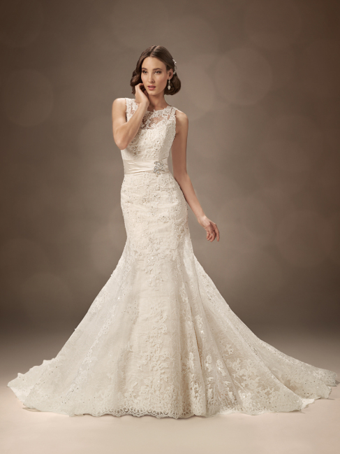 Sophia Tolli Trunk Show. Desktop Image