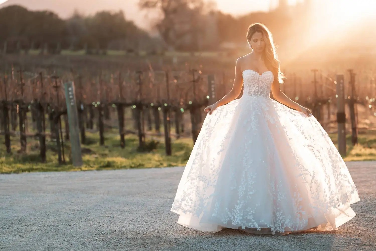 Allure Bridals <h4>Trunk Show</h4> Main Image
