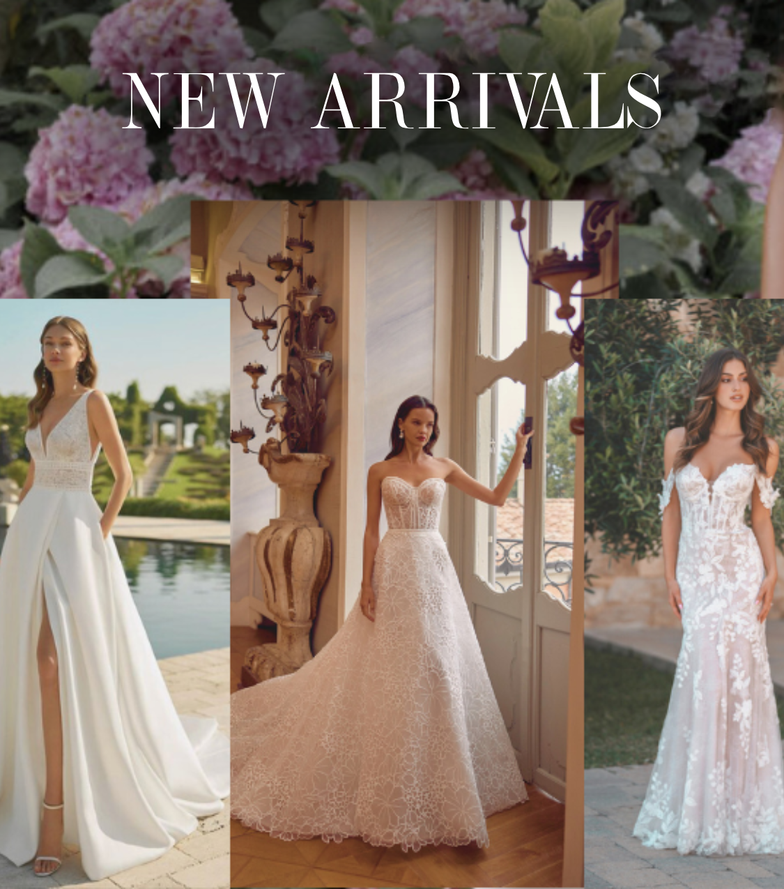 New Arrivals